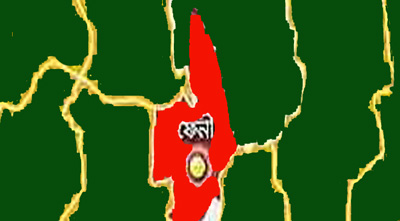 ফেনীতে ১২টি অস্ত্র ও ১০৪ রাউন্ড গুলিসহ আটক ৩