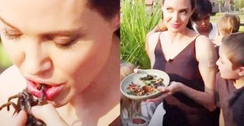 সন্তানদের নিয়ে পোকামাকড় খাচ্ছেন অভিনেত্রী জোলি