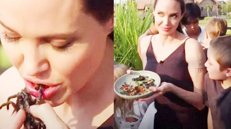 সন্তানদের নিয়ে পোকামাকড় খাচ্ছেন অভিনেত্রী জোলি