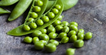 ২ পিস মাছ বা ৩ পিস মাংসের বদলে খান একবাটি মটরশুঁটি