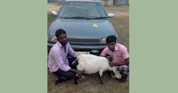 উপজেলা আ’লীগ সভাপতির প্রাইভেটকারে চোরাই ছাগল