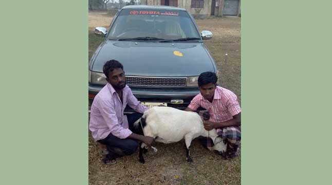 উপজেলা আ’লীগ সভাপতির প্রাইভেটকারে চোরাই ছাগল