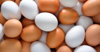 যে কারণে ফ্রিজে কাঁচা ডিম রাখা ঠিক না