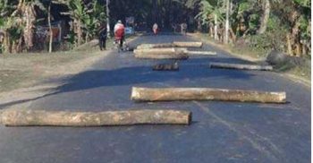 রাস্তায় গাছের গুড়ি ফেলে অবরুদ্ধ করে ২৫ গাড়িতে গণডাকাতি
