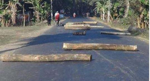 রাস্তায় গাছের গুড়ি ফেলে অবরুদ্ধ করে ২৫ গাড়িতে গণডাকাতি