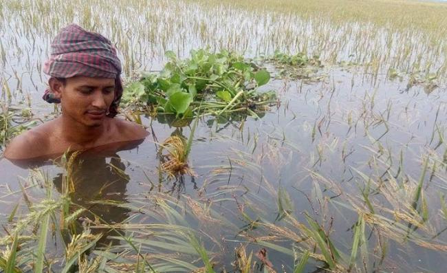 সব তলিয়ে গেছে, এখন আর রোদ উঠে লাভ কী?