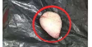 ধর্ষণচেষ্টায় বখাটের জিভ কেটে নিলেন গৃহবধূ