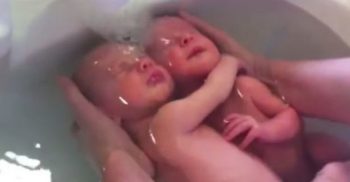 ডোবায় ভেসে উঠলো দুই যমজ সহ তিন শিশুর লাশ! এলাকায় ব্যপক চাঞ্চল্য, কাটছেনা রহস্য!