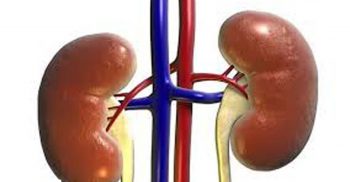 অতিরিক্ত মেকআপে কিডনি ড্যামেজের আশংকা!