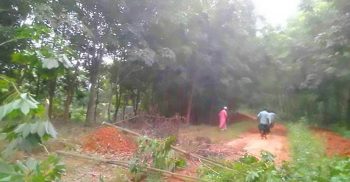 চাঁদা দিতে রাজি না হওয়ায় রামগড়ে দুই শতাধিক গাছ কেটে দিল সন্ত্রাসীরা