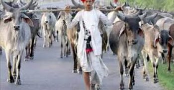 গরুর মাংস খাওয়ার অধিকার সবারই  আছে: ভারতীয় মন্ত্রী