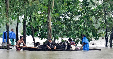 বন্যায় ভাসছে উত্তরাঞ্চল দিনাজপুরে ১৪ জনের মৃত্যু