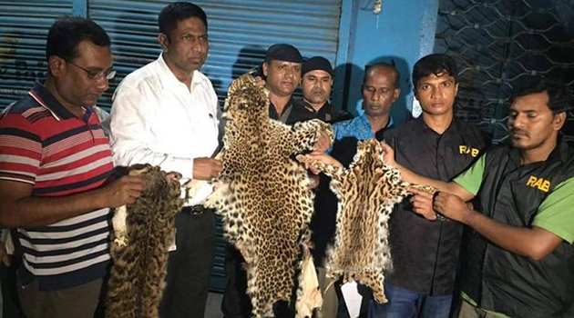 ঢাকায় চিতা বাঘের চামড়াসহ আটক ২