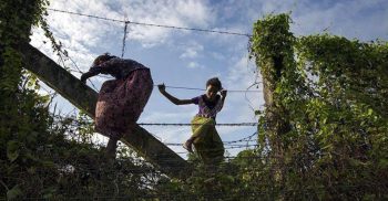 প্রায় পঞ্চাশ হাজার রোহিঙ্গার অনুপ্রবেশ!