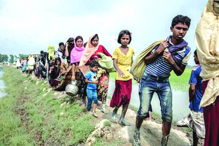মিয়ানমারে ফিরতে চায় রোহিঙ্গা তরুণরা, আগ্রহ নেই বয়স্কদের