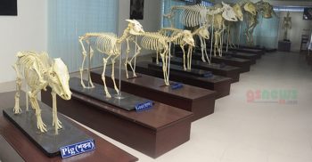 বাংলাদেশের এই প্রথম অ্যানাটমি জাদুঘর