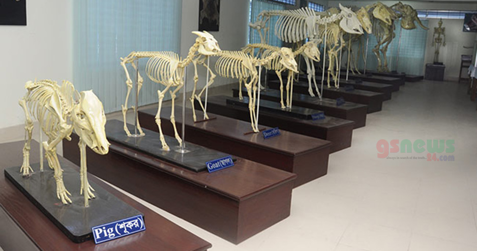 বাংলাদেশের এই প্রথম অ্যানাটমি জাদুঘর