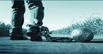 আমার কোনো দুঃসাহসী ভ্রমণ নাই