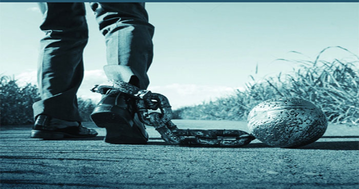 আমার কোনো দুঃসাহসী ভ্রমণ নাই