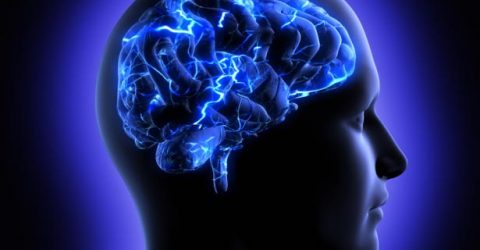 নিজের মস্তিস্ক ঠিক রাখুন ২০টি উপায়ে