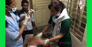 এ প্রথম সিজারে ছাগলের বাচ্চা প্রসব!