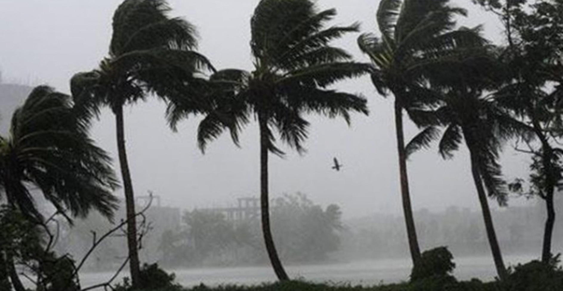 কালবৈশাখীর ছোবলে পশ্চিমবঙ্গ