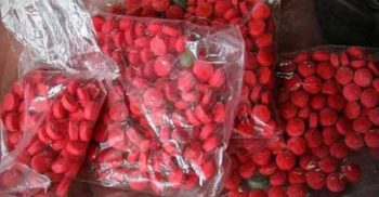 ইয়াবাসহ আটক নারী ক্রিকেটার