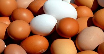 প্রতিদিন একটি ডিমে ঝুঁকিমুক্ত হৃদযন্ত্র