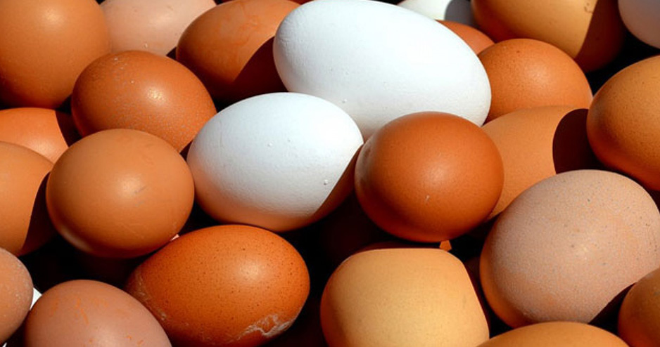 প্রতিদিন একটি ডিমে ঝুঁকিমুক্ত হৃদযন্ত্র