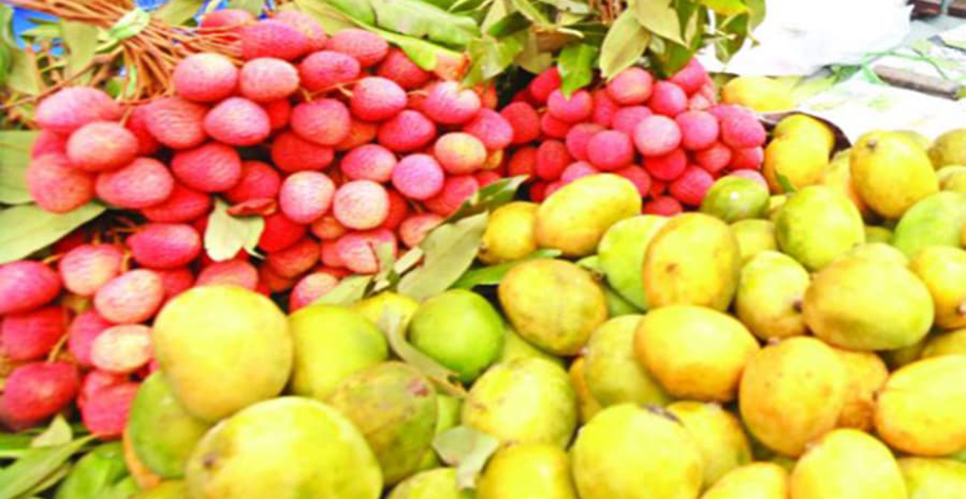 আম ও লিচু দ্রুত পাকানোর জন্য মেশানো হচ্ছে ইথোফ্রেন