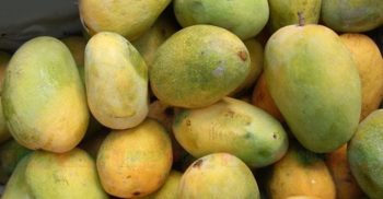 জেনে রাখুন কিভাবে চিনবেন ফরমালিনমুক্ত আম