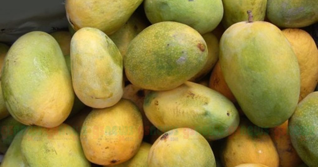 জেনে রাখুন কিভাবে চিনবেন ফরমালিনমুক্ত আম