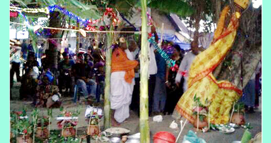 ঢাকঢোল পিটিয়ে দুই গাছের বিয়ে!