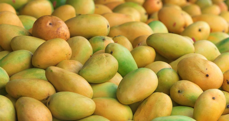 যে ১০ টি কারণে আম খাবেন