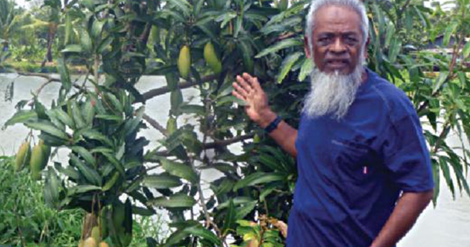 রাজশাহীর আম সোনাগাজীতে