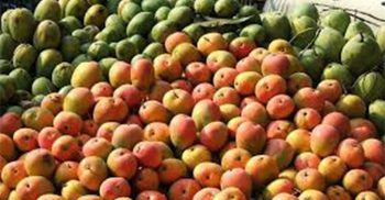 আম শরীরের উচ্চ রক্তচাপের ঝুঁকি কমায়