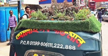 অটোরিকশার উপর ছোট্ট বাগান