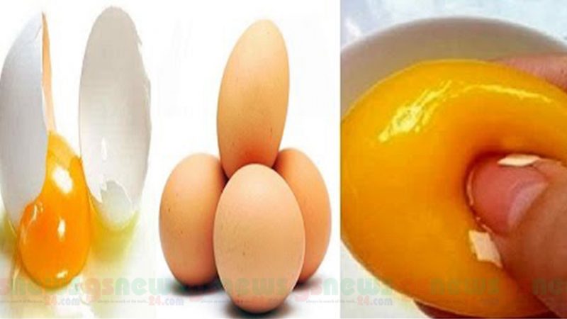 নকল ডিম চিনবেন কি ভাবে?