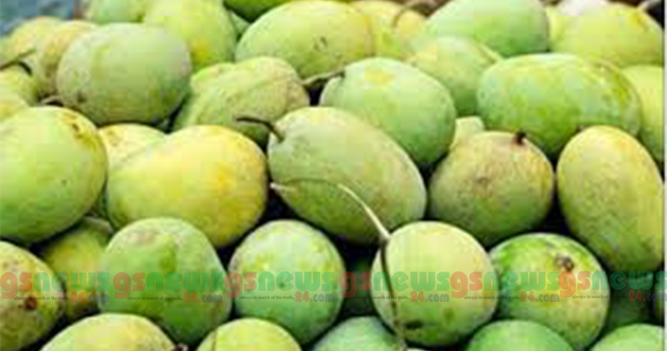 ভাল আম চেনার সহজ উপায়