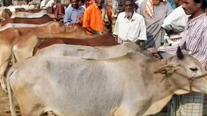 ঈদুল আযহার গুরুত্ব পূর্ণ নির্দেশনায় অগ্রিম “ঈদ মোবারক”