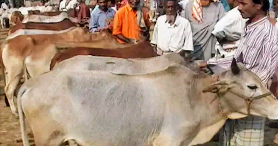 ঈদুল আযহার গুরুত্ব পূর্ণ নির্দেশনায় অগ্রিম “ঈদ মোবারক”