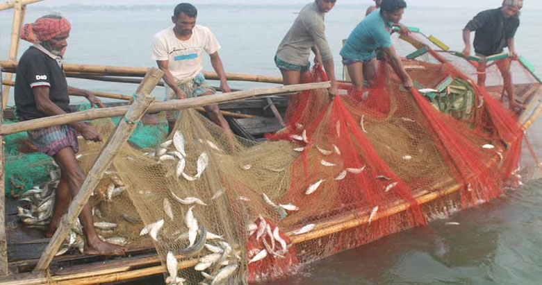 নিষিদ্ধ হচ্ছে  ইলিশসহ সকল প্রকার মাছ ধরা!