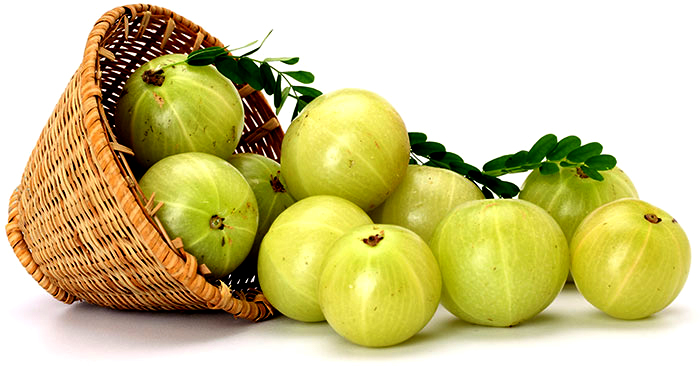 আমলকির যত গুণাগুণ
