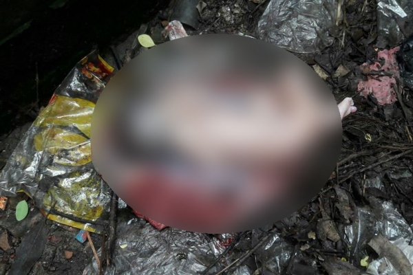 পলিথিন ব্যাগে মানবদেহের সাত টুকরো