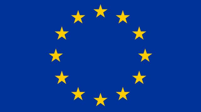 নির্বাচনে অনিয়মের অভিযোগ খতিয়ে দেখার আহ্বান ইইউর