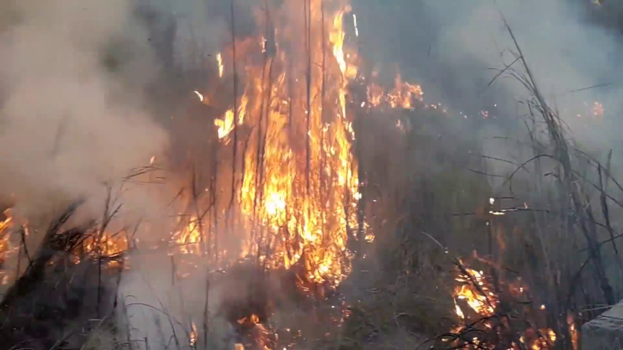 সীতাকুণ্ডে তেলের ডিপোতে আগুন।