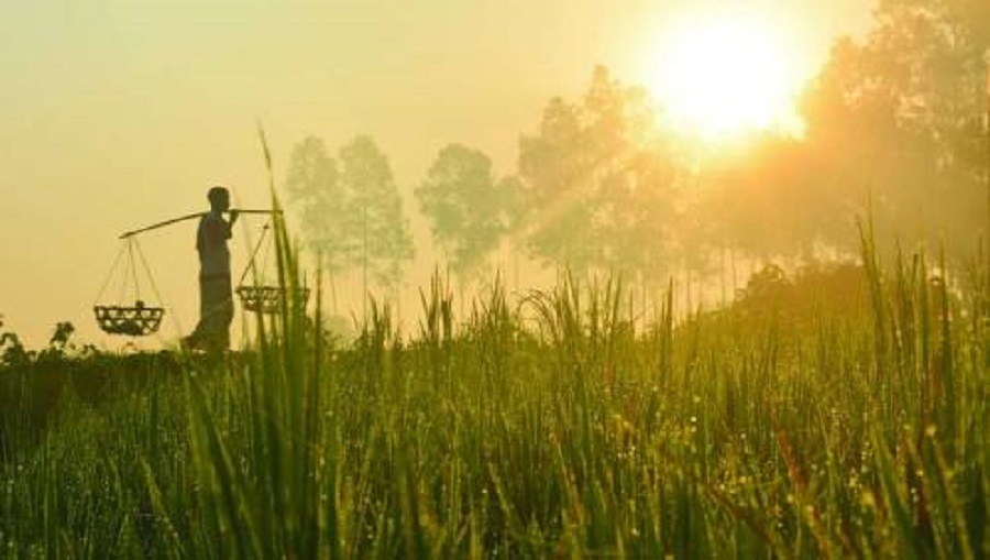 মাঘের শীতে বাঘ কাঁপে’ সেইদিন শেষ