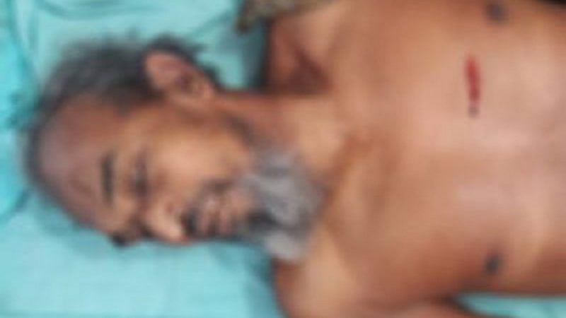 মামীর সঙ্গে ভাগনের পরকীয়া, দেখে ফেলায় নানা খুন