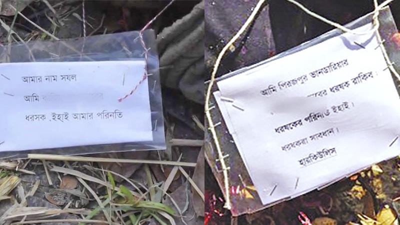 কারা হত্যা করেছে তাদের?