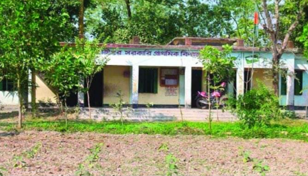 স্কুলের মাঠ দখল করে সবজি চাষ (ভিডিও সহ)